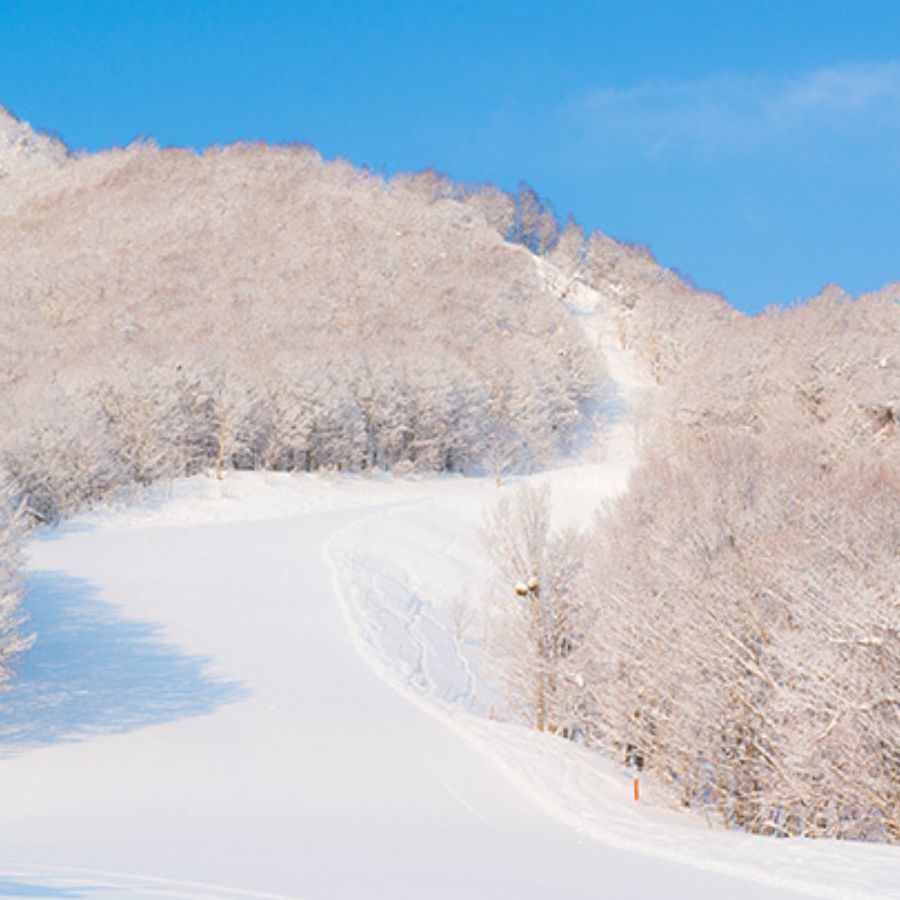 冬のだいくらスキー場